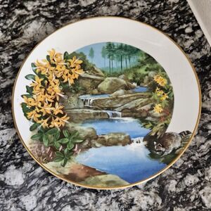 VTG Decorative Plate Royal Windsor Wild Honeysuckle Wildflowers  South Gold Trim